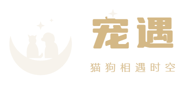 宠遇